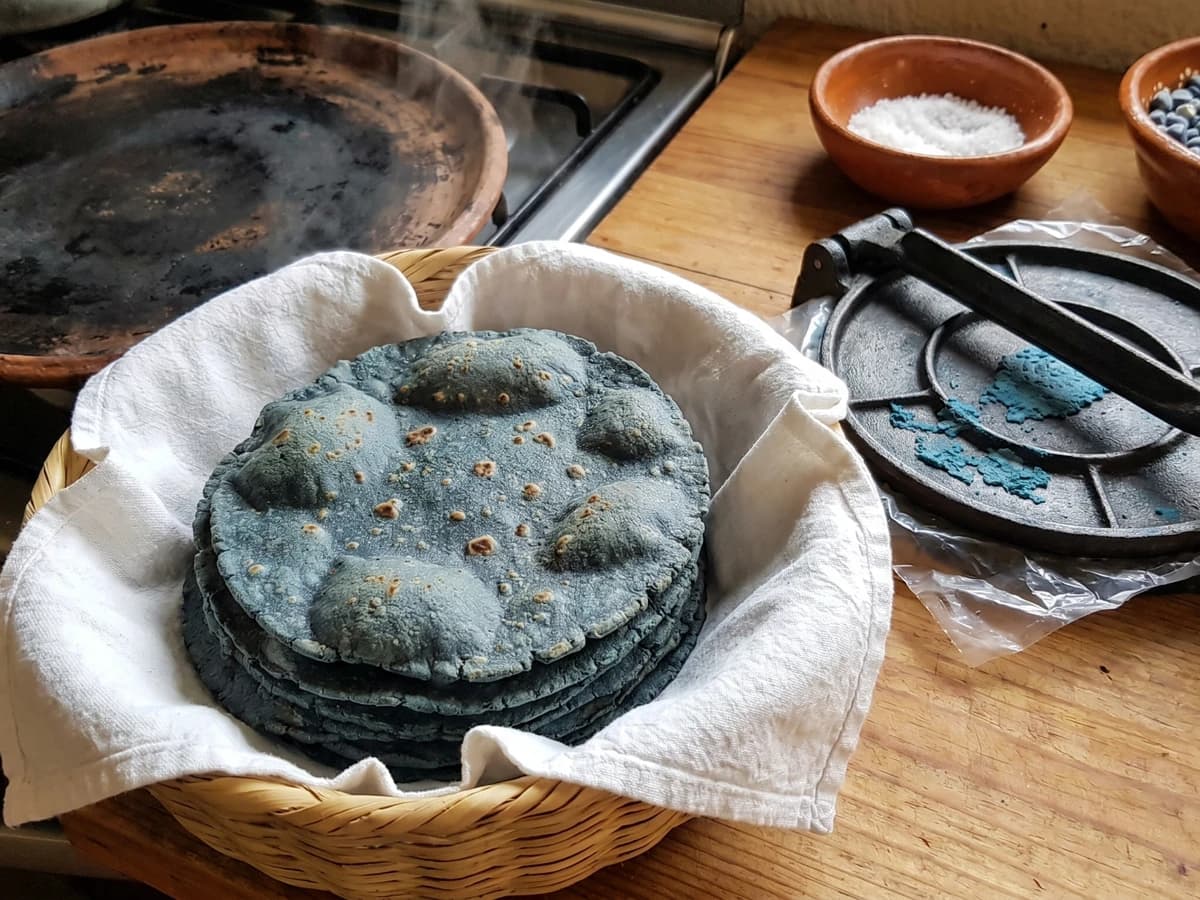 Tortillas de Maíz Azul Cónico - Chef Lupita