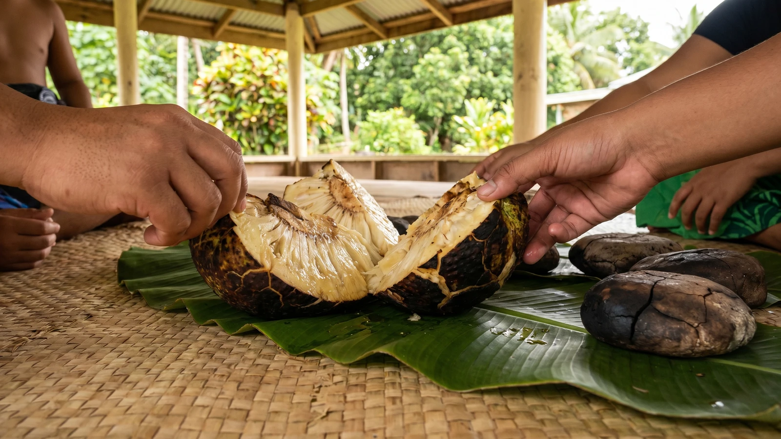 Umu ʻUlu (Sāmoan Earth-Oven Whole Breadfruit)